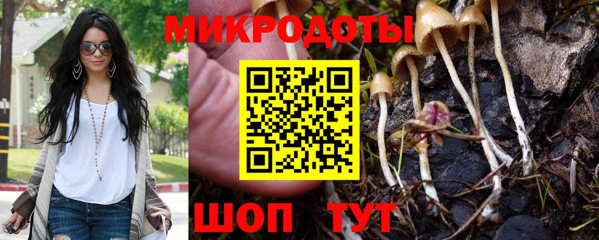 Кыштым  Галлюциногенные грибы Magic Shrooms  Вход с VPN 